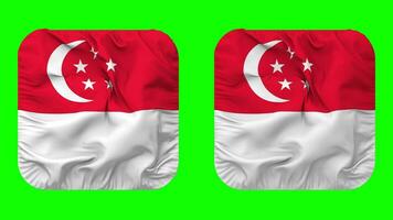 Singapore Flag in Squire Shape Isolated with Plain and Bump Texture, 3D Rendering, Green Screen, Alpha Matte video