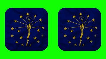 estado de Indiana bandera en escudero forma aislado con llanura y bache textura, 3d representación, verde pantalla, alfa mate video