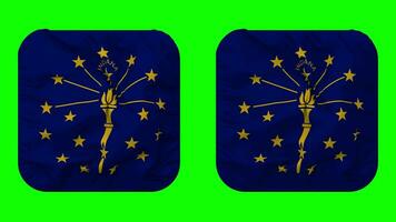 Etat de Indiana drapeau dans écuyer forme isolé avec plaine et bosse texture, 3d le rendu, vert filtrer, alpha mat video