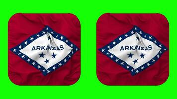 Etat de Arkansas drapeau dans écuyer forme isolé avec plaine et bosse texture, 3d le rendu, vert filtrer, alpha mat video