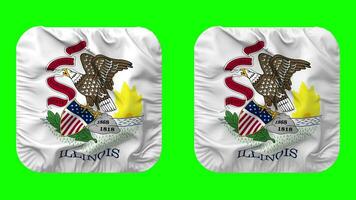 estado de Illinois bandera en escudero forma aislado con llanura y bache textura, 3d representación, verde pantalla, alfa mate video