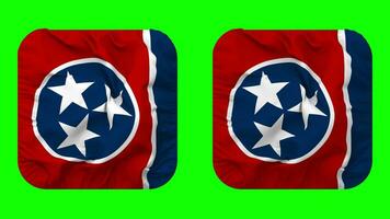 State of Tennessee Flag in Squire Shape Isolated with Plain and Bump Texture, 3D Rendering, Green Screen, Alpha Matte video