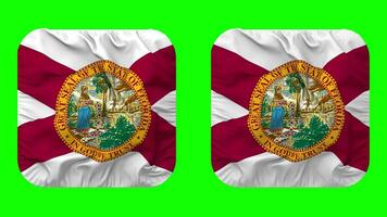 estado de Florida bandera en escudero forma aislado con llanura y bache textura, 3d representación, verde pantalla, alfa mate video