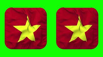 Vietnam vlag in schildknaap vorm geïsoleerd met duidelijk en buil textuur, 3d weergave, groen scherm, alpha matte video