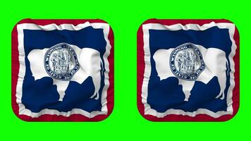 estado de Wyoming bandera en escudero forma aislado con llanura y bache textura, 3d representación, verde pantalla, alfa mate video