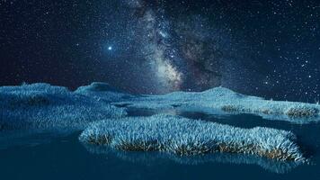 Blue grassland with milky way at night, 3d rendering. video