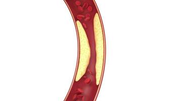 fett och celler i blod kärl, 3d tolkning. video