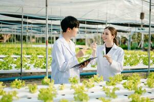 Researcher team in white uniform are checking with ph strips in hydroponic farm and pH level scale graphic, science laboratory greenhouse concept. photo