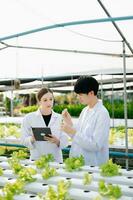 Researcher team in white uniform are checking with ph strips in hydroponic farm and pH level scale graphic, science laboratory greenhouse concept. photo