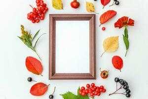 Autumn floral composition. Vertical frame mockup chokeberry rowan berries colorful leaves dogrose flowers on white background. Fall natural plants ecology concept. Flat lay top view, copy space photo