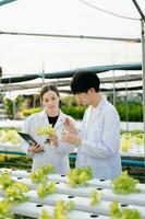 Researcher team in white uniform are checking with ph strips in hydroponic farm and pH level scale graphic, science laboratory greenhouse concept. photo