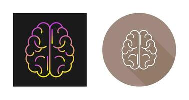 Brain Vector Icon