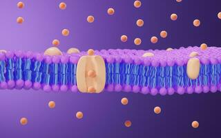 Cell membrane structure background, 3d rendering. photo