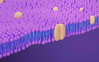 Cell membrane structure background, 3d rendering. photo