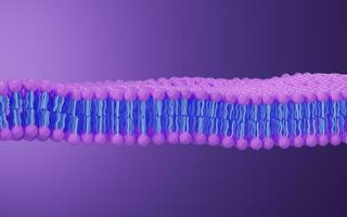 Cell membrane structure background, 3d rendering. photo