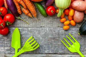 Assortment different fresh organic vegetables and gardening tools on country style wooden background. Healthy food vegan vegetarian eating dieting concept. Local garden produce clean food. photo