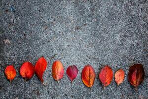 de cerca natural otoño otoño ver de rojo naranja hoja acostado abajo en acera suelo antecedentes en jardín o parque. inspirador naturaleza octubre o septiembre fondo de pantalla. cambio de estaciones concepto. foto