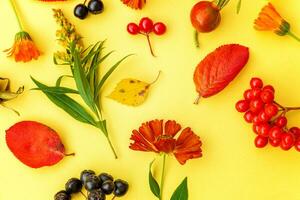 Autumn floral composition. Plants viburnum rowan berries dogrose fresh flowers colorful leaves isolated on yellow background. Fall natural plants ecology wallpaper concept. Flat lay, top view photo