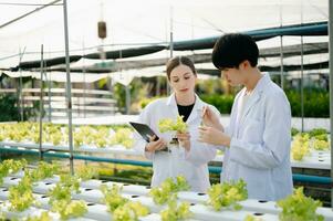 Researcher team in white uniform are checking with ph strips in hydroponic farm and pH level scale graphic, science laboratory greenhouse concept. photo