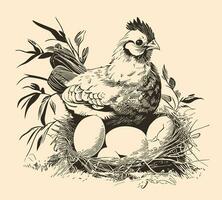 Hen laying eggs in the nest retro sketch hand drawn in doodle style Vector illustration