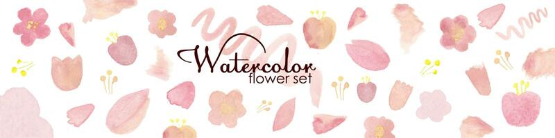 Watercolor Flower set. Hand drawn pink blossom Artistic collection isolated on white background. Elegant drawing for Wedding invitation, Postcard, Spring promotion banner, Greeting card design. photo