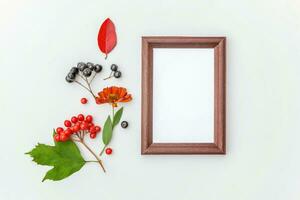 Autumn floral composition. Vertical frame mockup chokeberry rowan berries colorful leaves dogrose flowers on white background. Fall natural plants ecology concept. Flat lay top view, copy space photo