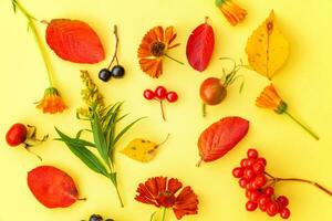 Autumn floral composition. Plants viburnum rowan berries dogrose fresh flowers colorful leaves isolated on yellow background. Fall natural plants ecology wallpaper concept. Flat lay, top view photo