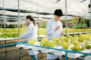 Researcher team in white uniform are checking with ph strips in hydroponic farm and pH level scale graphic, science laboratory greenhouse concept. photo