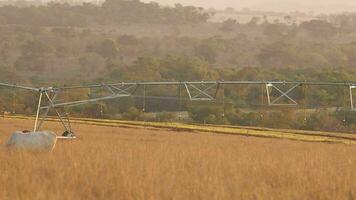 irrigatie systeem in boerderij veld- video