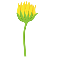 Sunflower Flat Illustration png