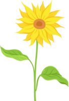 Sunflower Flat Illustration png