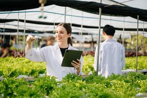 Biologist puts sprout in test tube for laboratory analyze. Two scientists stand in organic farm. check, laboratory in greenhouse. photo