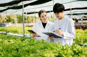 Researcher team in white uniform are checking with ph strips in hydroponic farm and pH level scale graphic, science laboratory greenhouse concept. photo