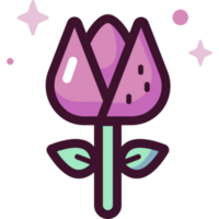 tulip illustration design png