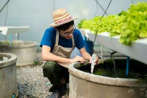 Researcher are checking with ph strips in hydroponic farm and pH level scale graphic, science laboratory greenhouse concept. at farm photo