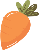 Hand Drawn carrot in flat style png