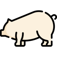 diseño de ilustración de cerdo png