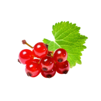 Red currant isolated on transparent background, created with generative AI png