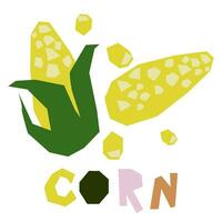 Yellow corn, whole and peeled, is highlighted on a white background. The original signature is corn. Products from the farmer's market, organic food. Geometric stylized flat vector illustration