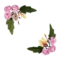 floral bouquet coin Cadre copie espace png