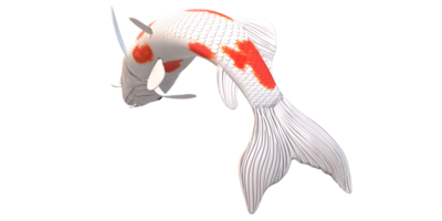 koi carpe poisson isolé sur une transparent Contexte png