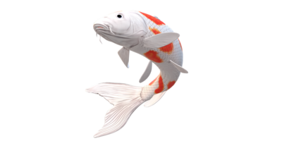 koi carpe poisson isolé sur une transparent Contexte png