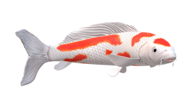 koi carpa pescado aislado en un transparente antecedentes png