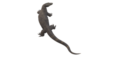 comodo dragon isolé sur une transparent Contexte png