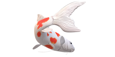 koi carpa pescado aislado en un transparente antecedentes png