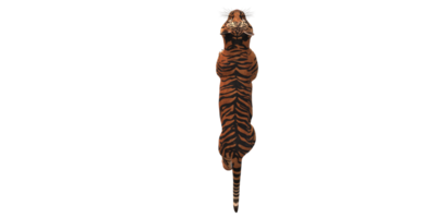 tigre isolé sur une transparent Contexte png