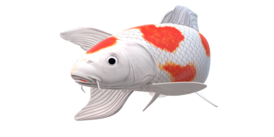 koi carpe poisson isolé sur une transparent Contexte png