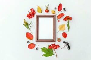 Autumn floral composition. Vertical frame mockup chokeberry rowan berries colorful leaves dogrose flowers on white background. Fall natural plants ecology concept. Flat lay top view, copy space photo