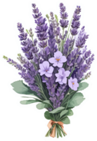 Lavender Flower Bouquet Cartoon AI Generative png