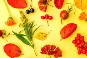 Autumn floral composition. Plants viburnum rowan berries dogrose fresh flowers colorful leaves isolated on yellow background. Fall natural plants ecology wallpaper concept. Flat lay, top view photo